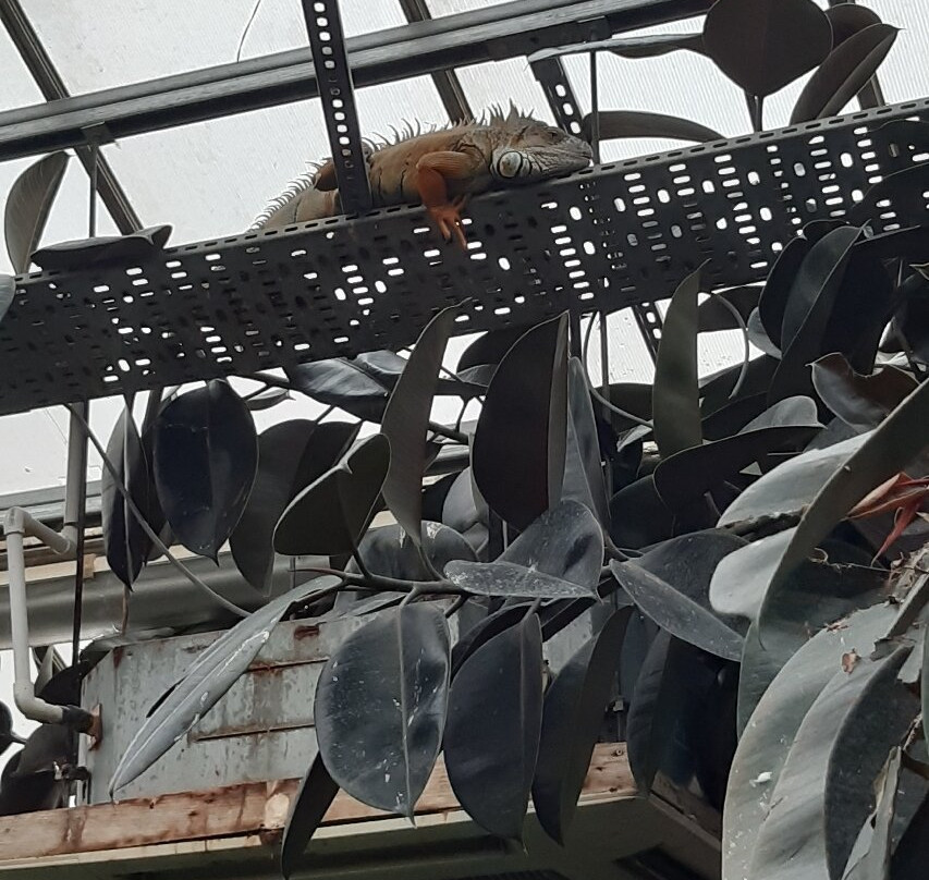 Bugtopia Hornsea Zoo-Hornsea必去景点