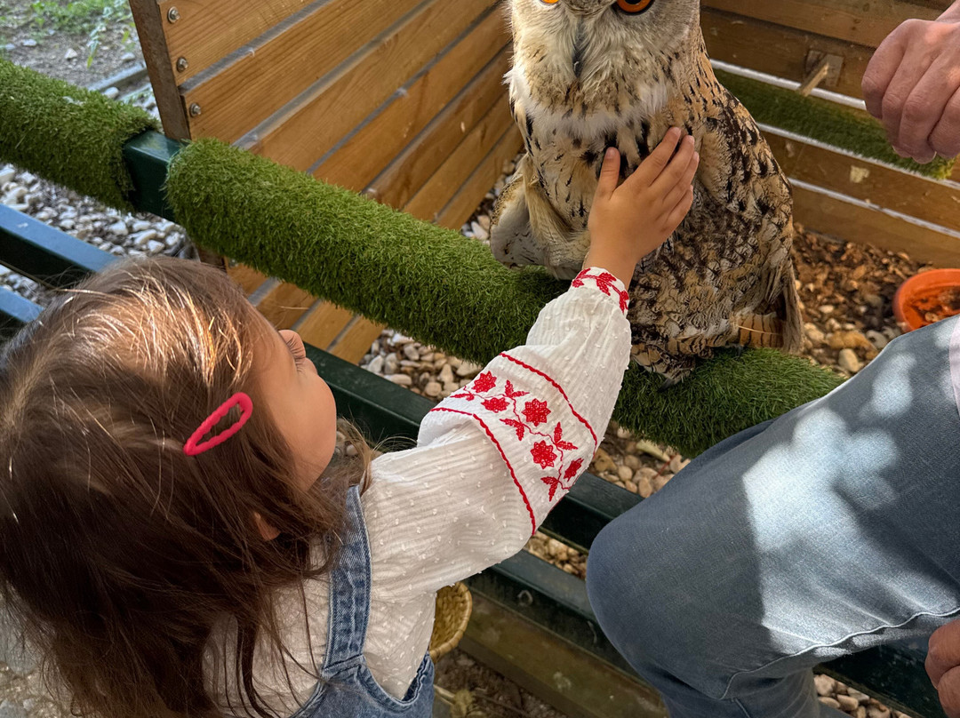 Quinta Pedagógica Quinta das Manas-吉马良斯必去景点