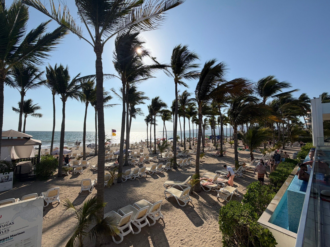 巴亚尔塔悦宜湾酒店-全包主图