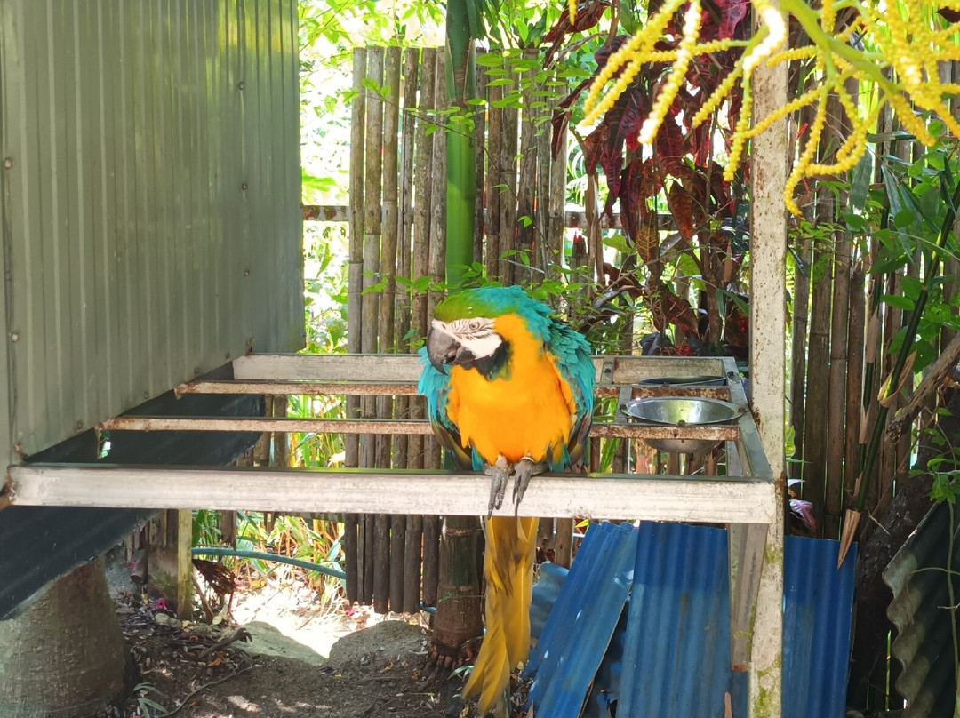 Eco Khao Lak Adventure - Private Day Tours-拉克山必去景点