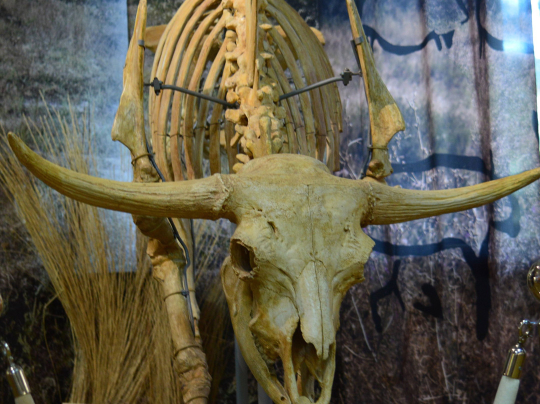 Azov Historical Archeological and Paleontological Museum-Reserve-Azov必去景点