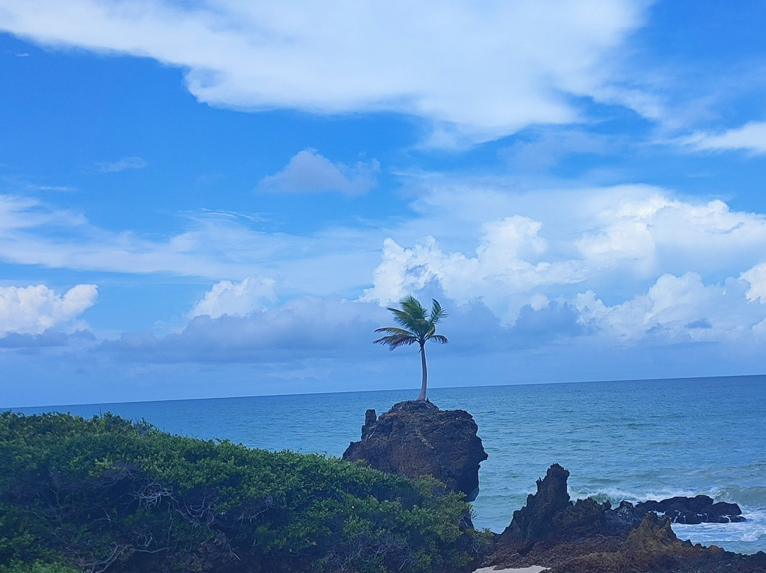 Turismo João Pessoa Pb-Joao Pessoa必去景点