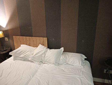 佩兹纳斯酒厂嘉里盖酒店-旅行者