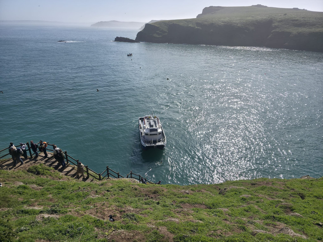 Pembrokeshire Islands Boat Trips-Marloes必去景点