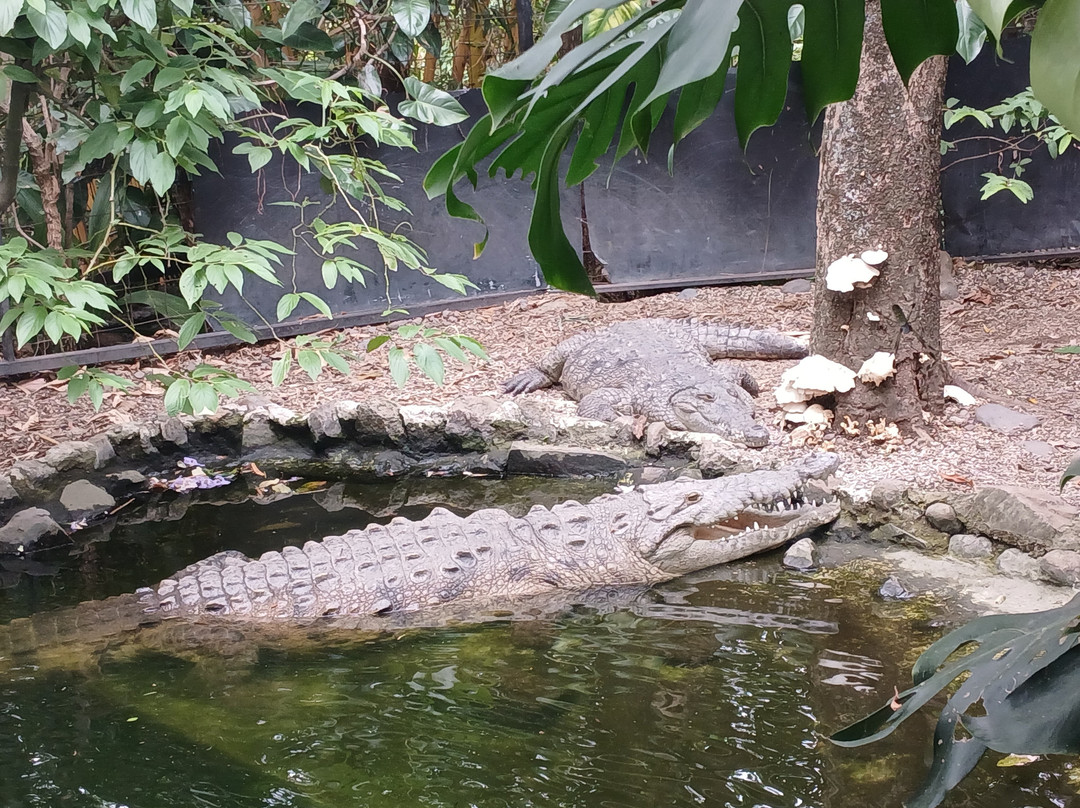 Refugio Animal De Costa Rica-圣安娜必去景点