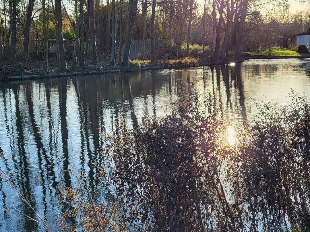 Les Hortillonnages d'Amiens-亚眠必去景点