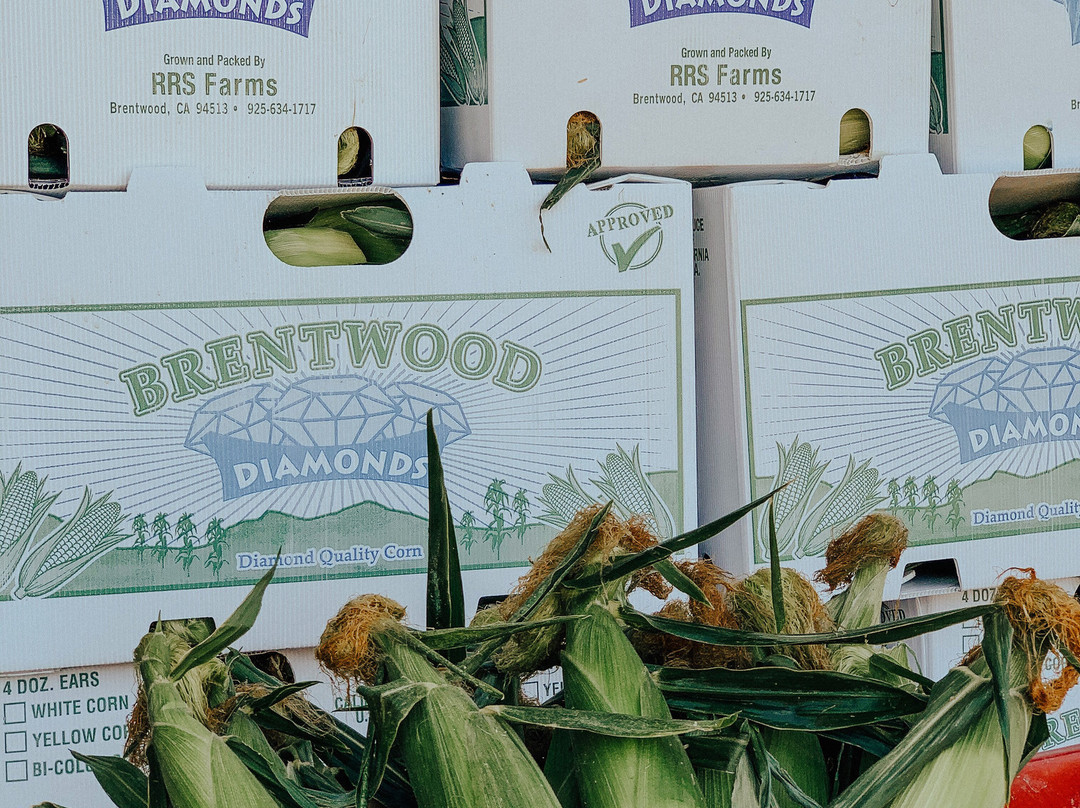 The Farmers Daughter Produce-Brentwood必去景点