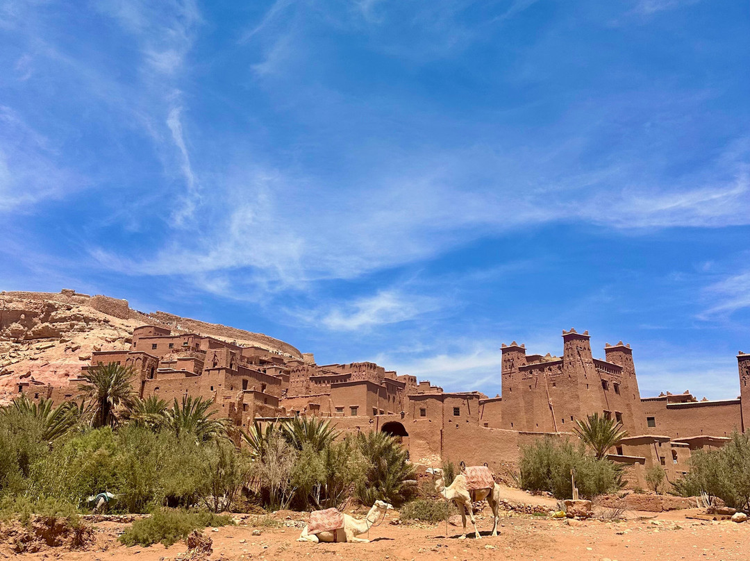Sahara Desert Kingdom-马拉喀什必去景点