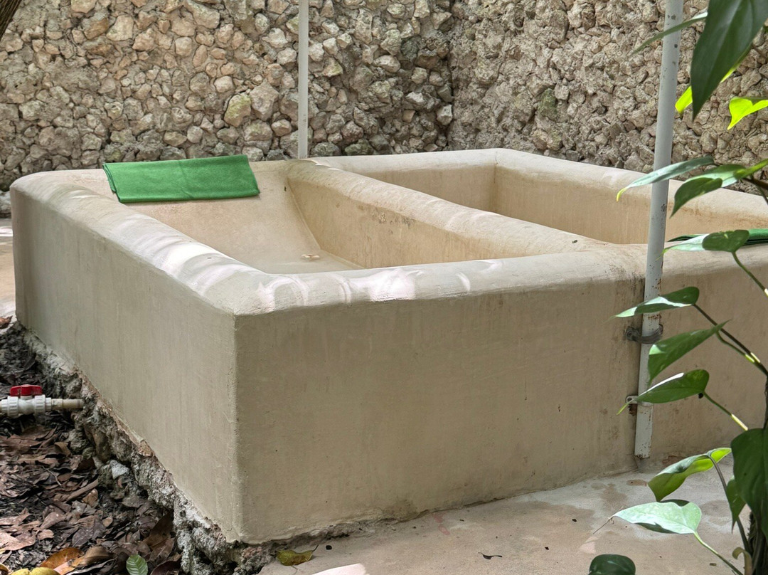 Los Colibries Mayan Jungle Spa-从莫雷洛斯港必去景点