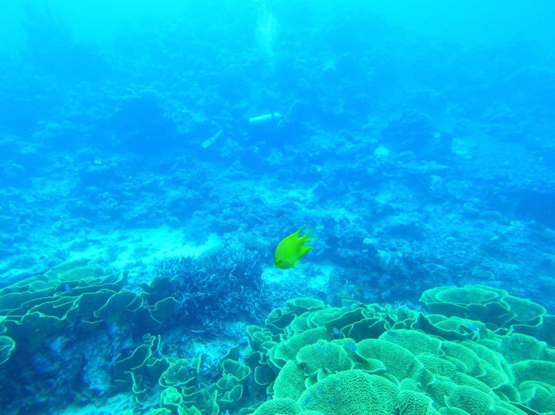 Nakia Resort & Dive主图