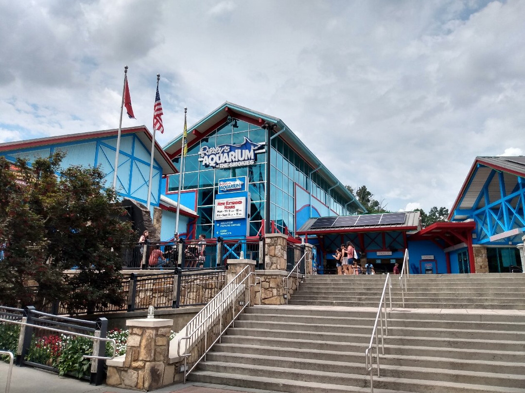 莱利大烟山水族馆-盖林柏格必去景点
