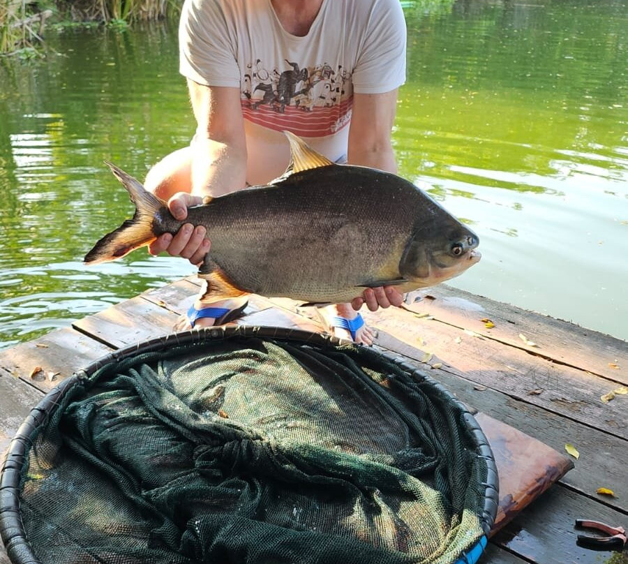 Monster Fishing Park-拉威必去景点