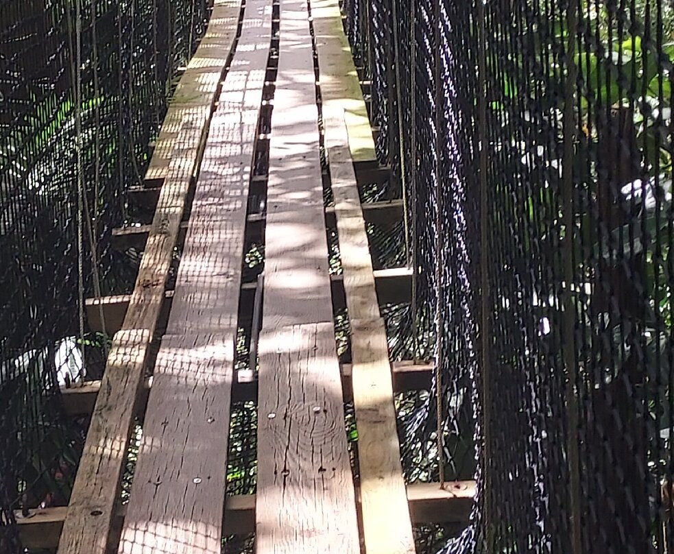 Zoo De Guadeloupe Au Parc Des Mamelles-Bouillante必去景点