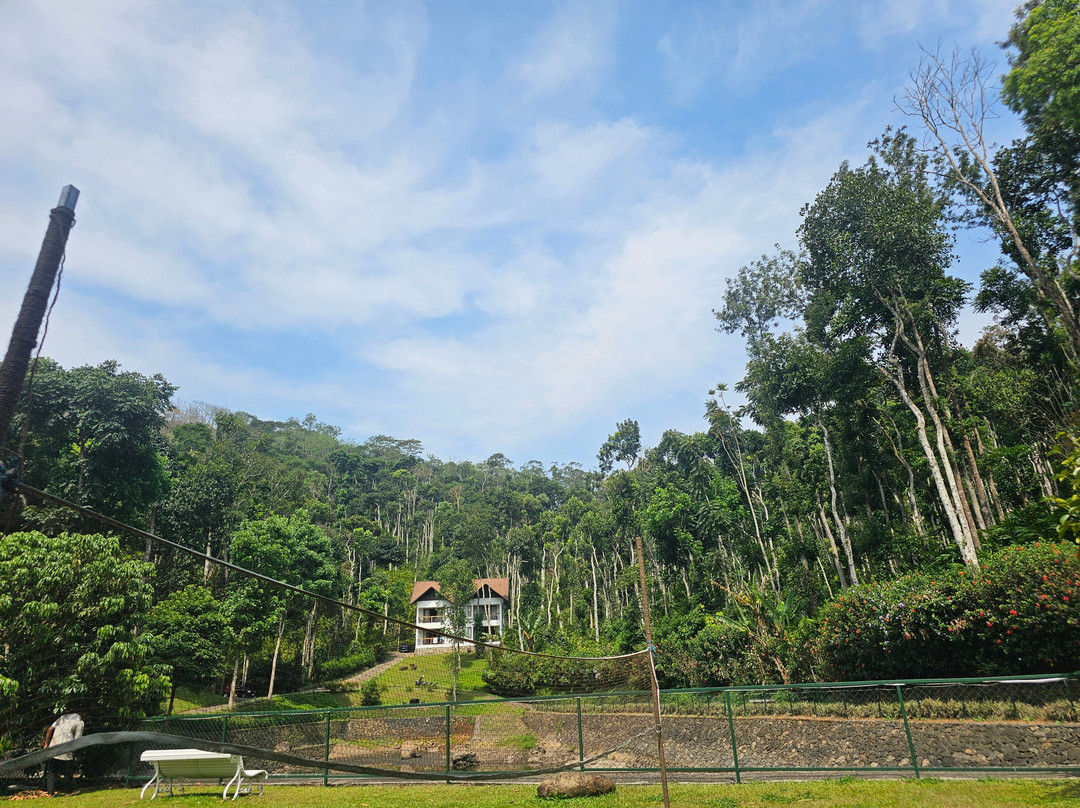 Amaana Plantation Resort主图