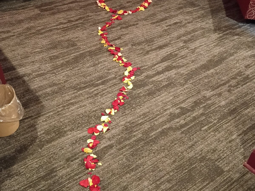 Inn of the Dove Harrisburg-Hershey Romantic Suites主图