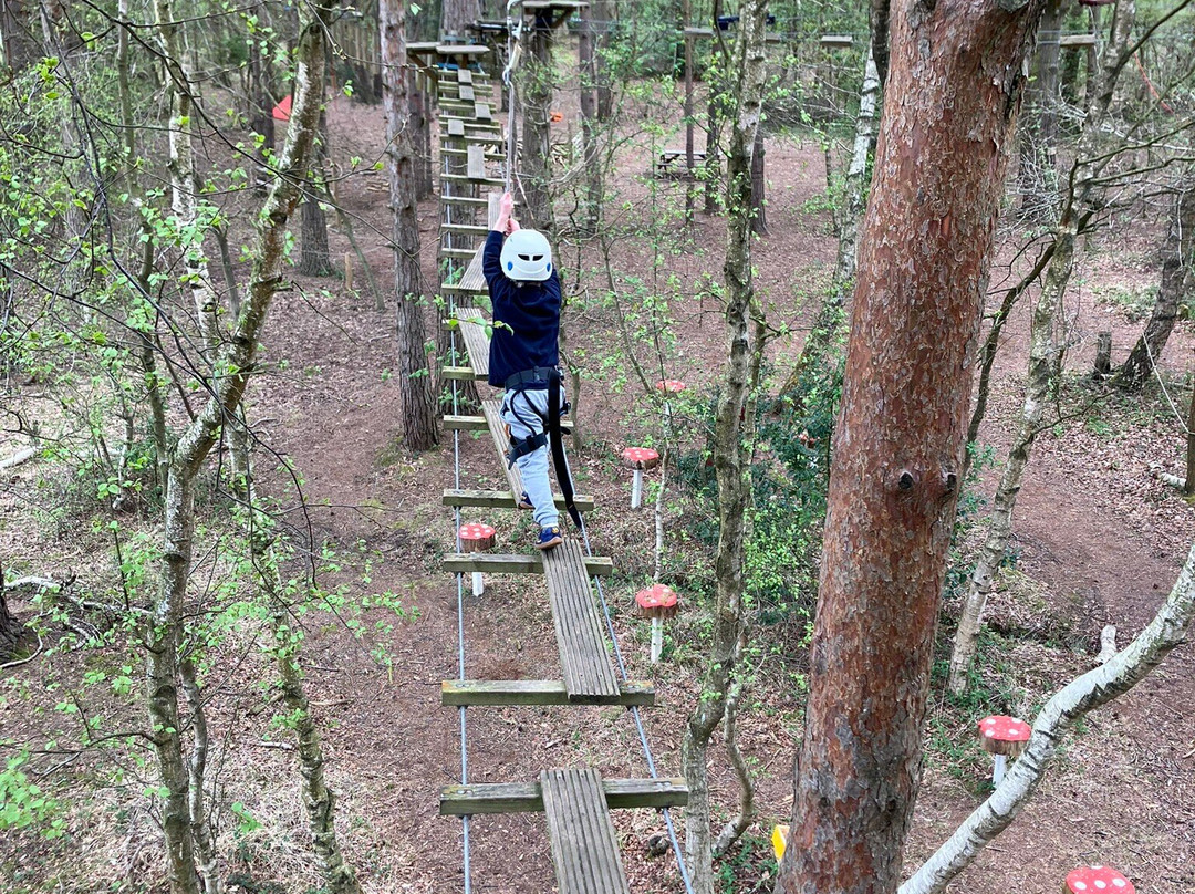 Wild Pines Park-Market Rasen必去景点