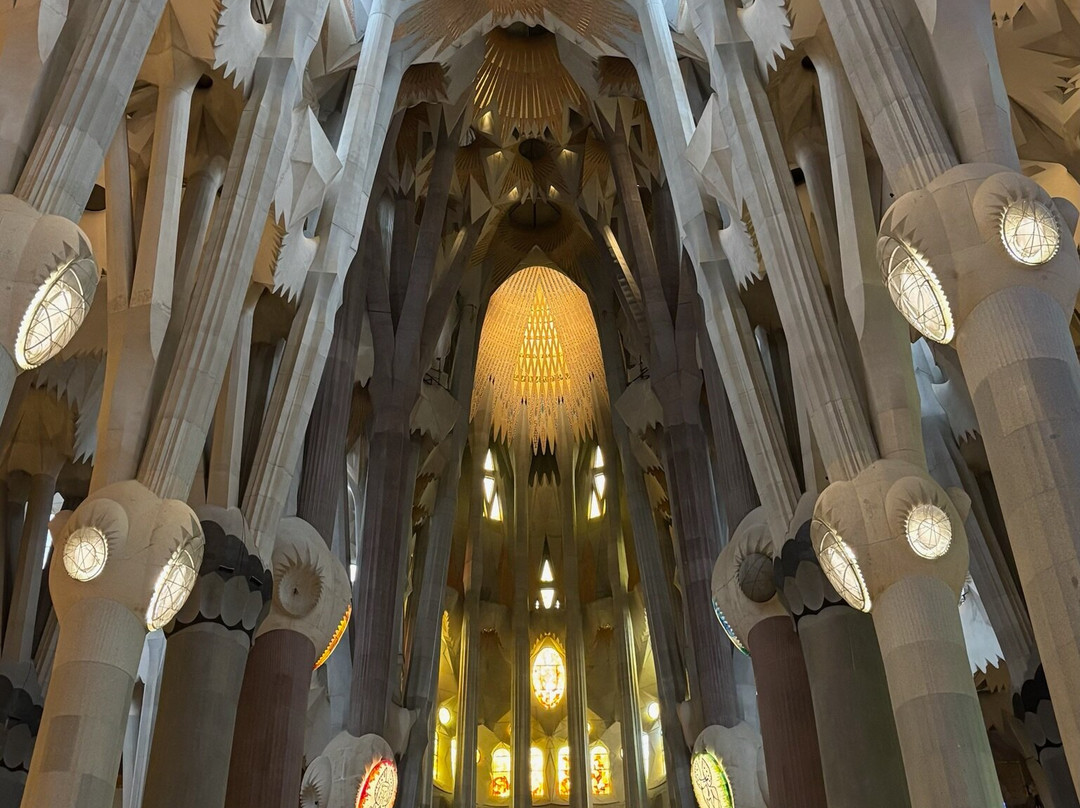 Flipa Barcelona-巴塞罗那必去景点