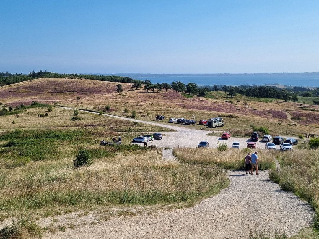 Nationalpark Mols Bjerge-Roende必去景点