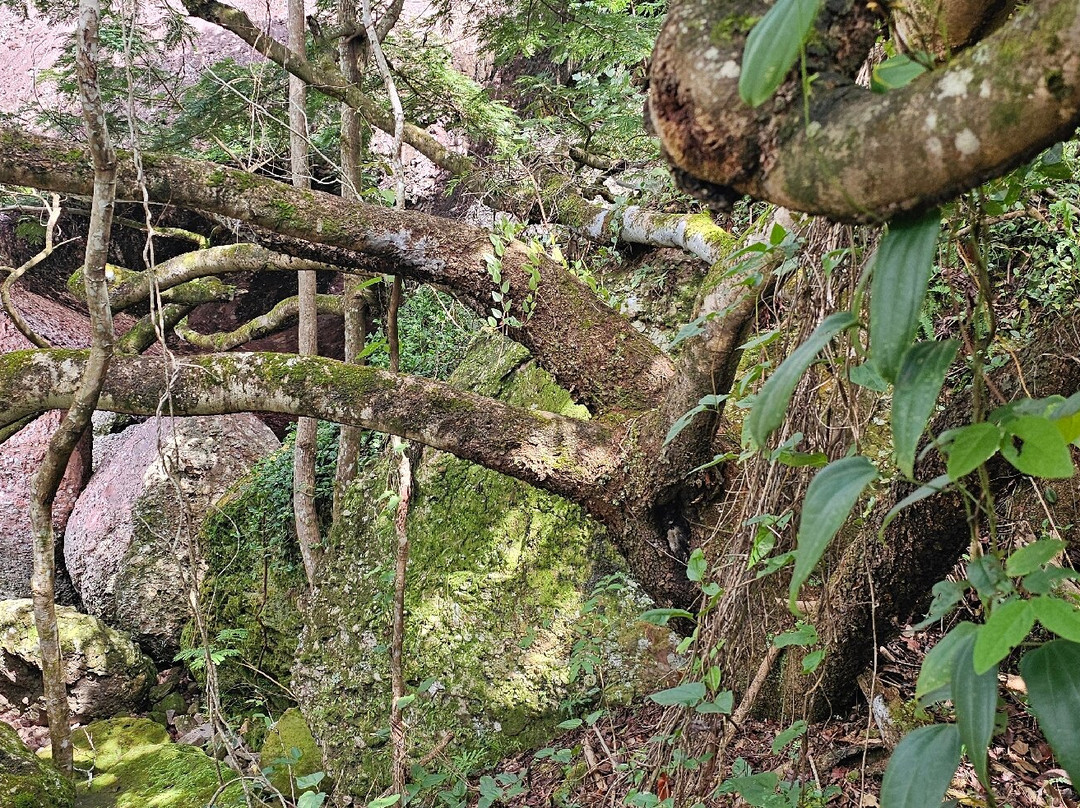 Cachoeira do Sossego-雷恩克斯必去景点