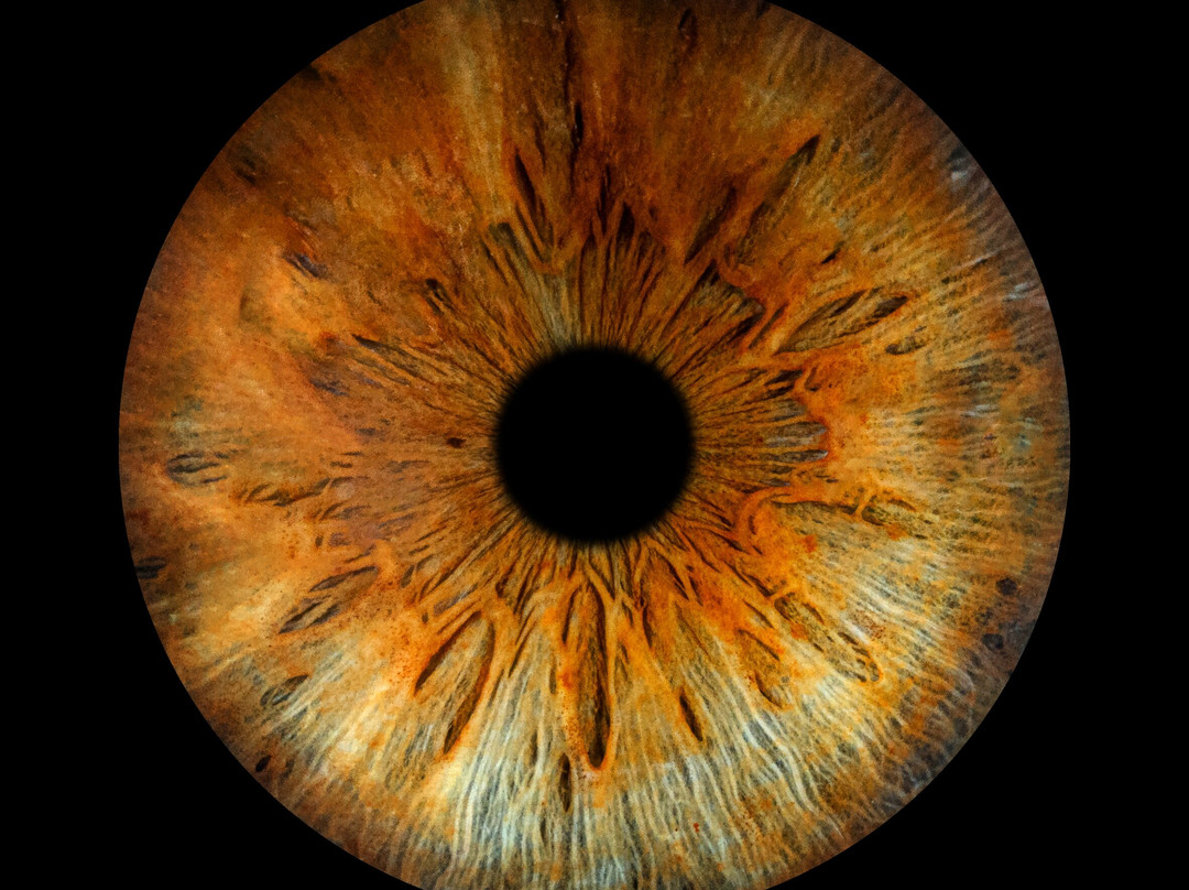 Iris Galerie Mall of the Netherlands-Leidschendam必去景点