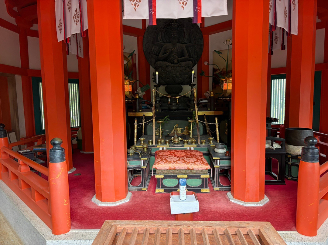 Jogasaki Beach Picnical Course-伊东市必去景点