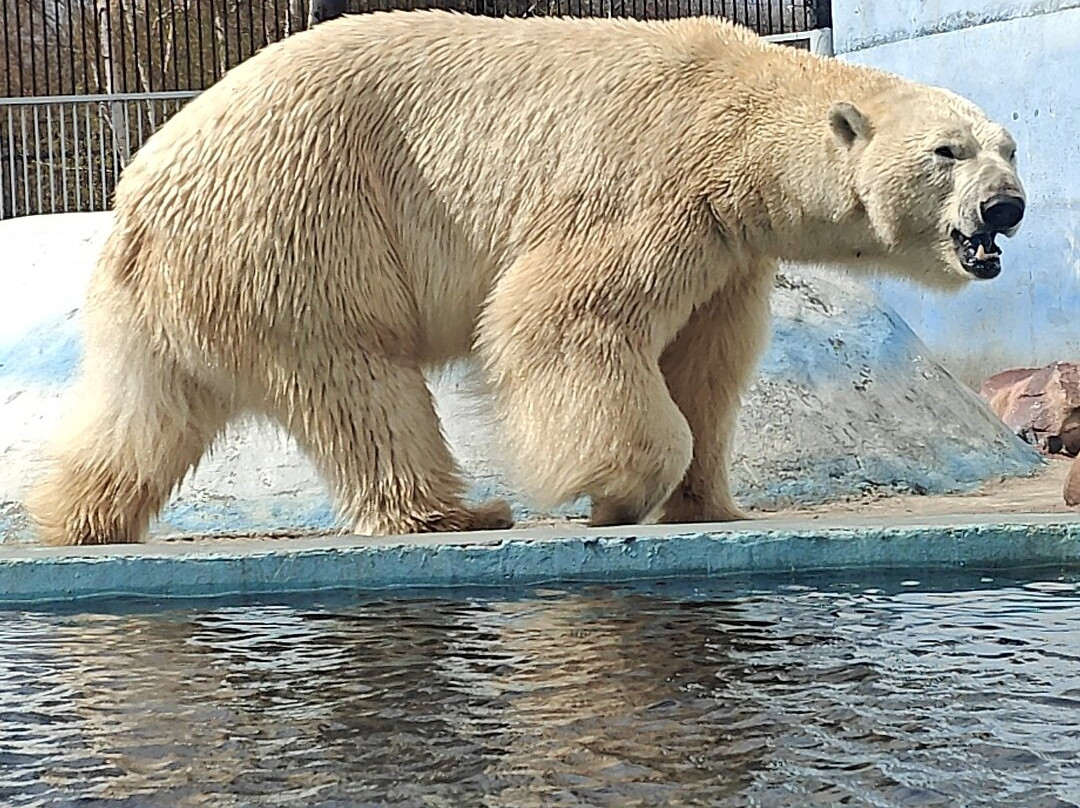 Limpopo Zoo-下诺夫哥罗德必去景点