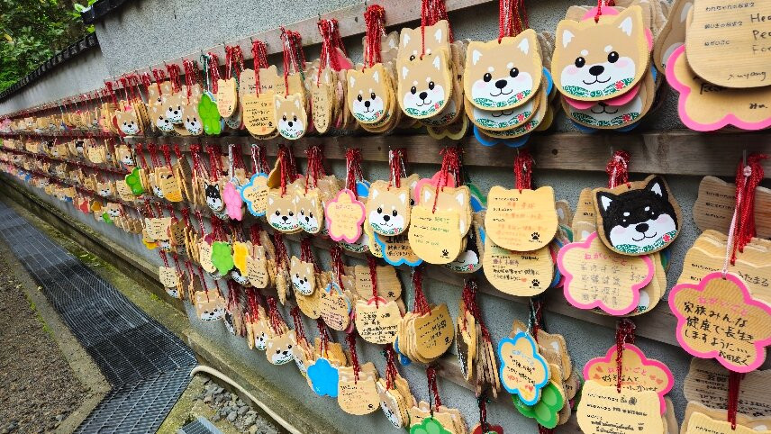 妙立寺（忍者寺）-金泽市必去景点