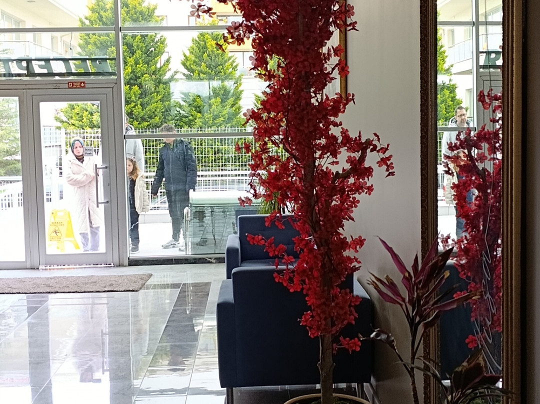 希缇阿亚斯水疗酒店主图