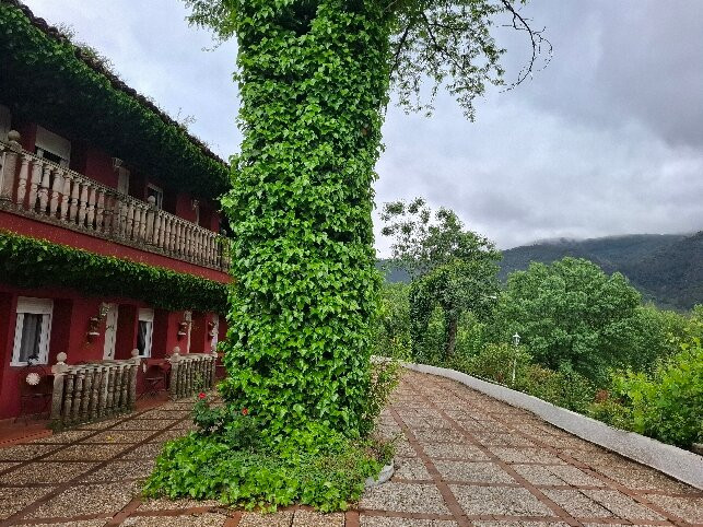 Hotel Rural Noguera de la Sierpe主图