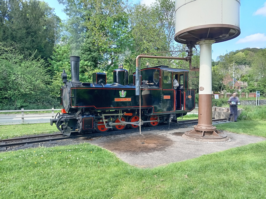 Welshpool and Llanfair Light Railway-Welshpool必去景点