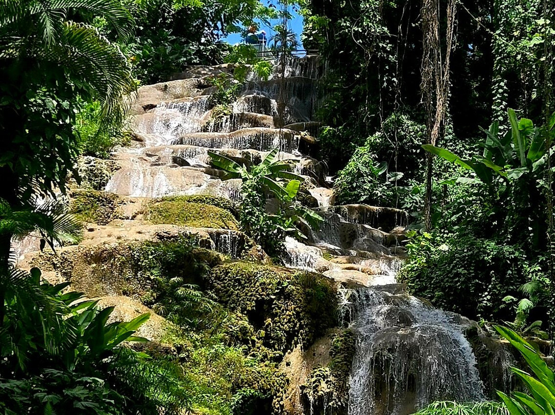 Konoko Falls & Park-奥乔里奥斯必去景点