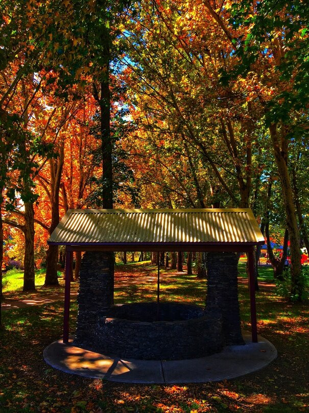 Neilson Park-Coonabarabran必去景点