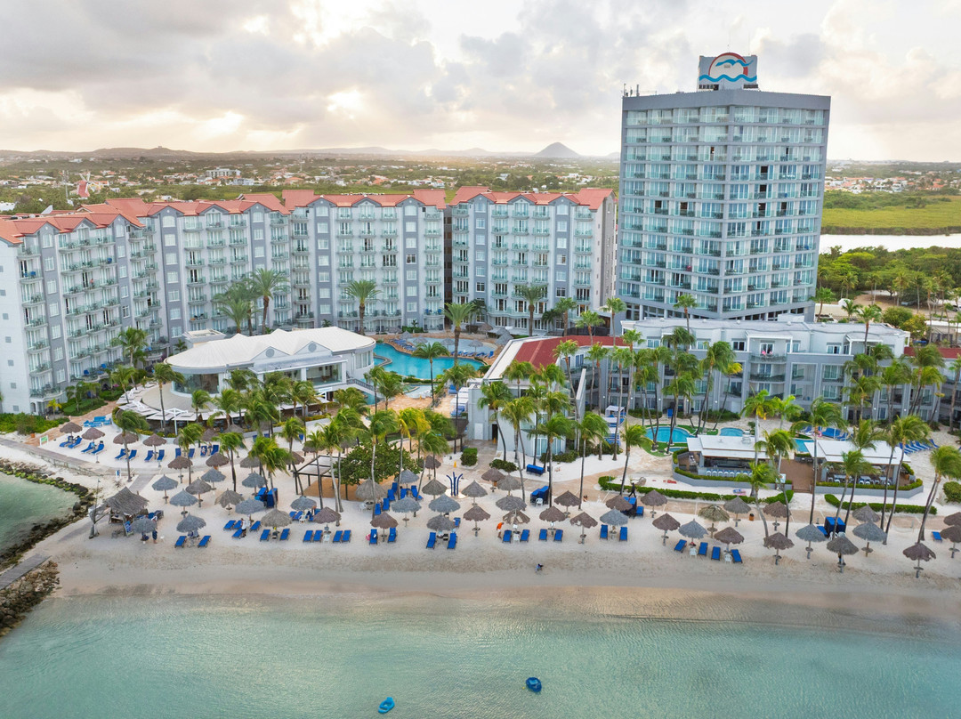棕榈/鹰海滩酒店住宿-Divi Aruba Phoenix Beach Resort