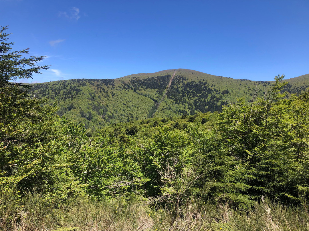 Parco Nazionale dell'Aspromonte-Santo Stefano in Aspromon必去景点