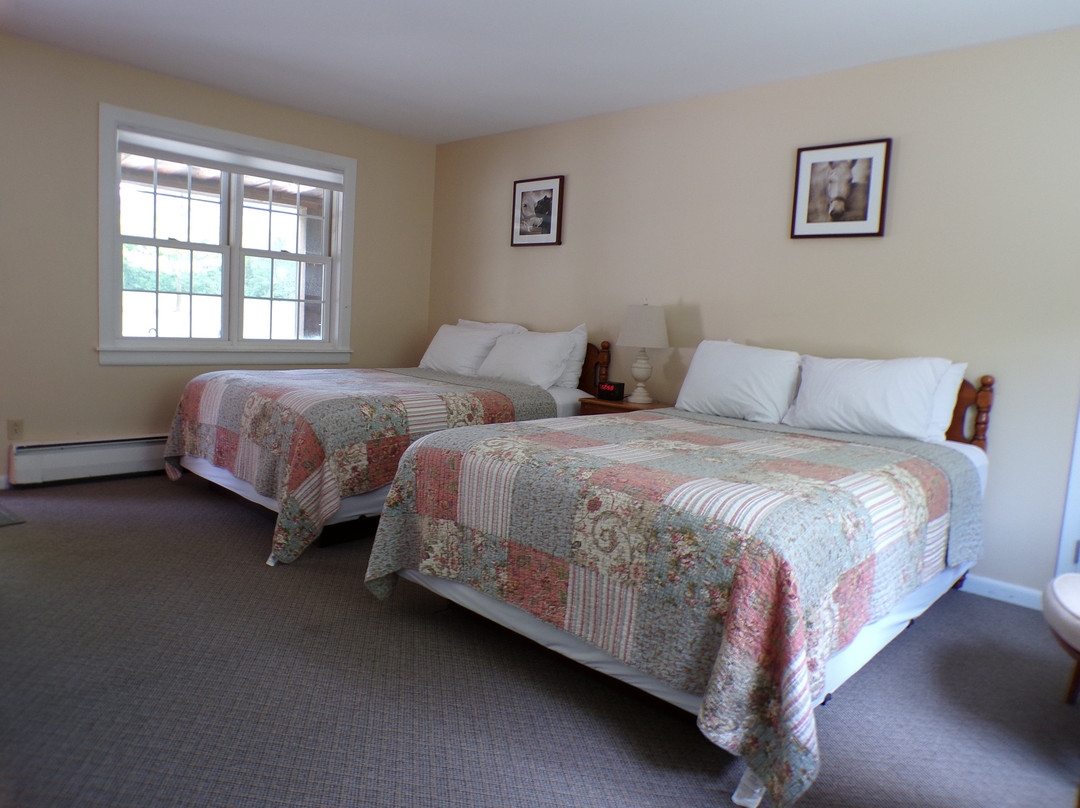 Aerie Inn of Vermont 旅馆主图