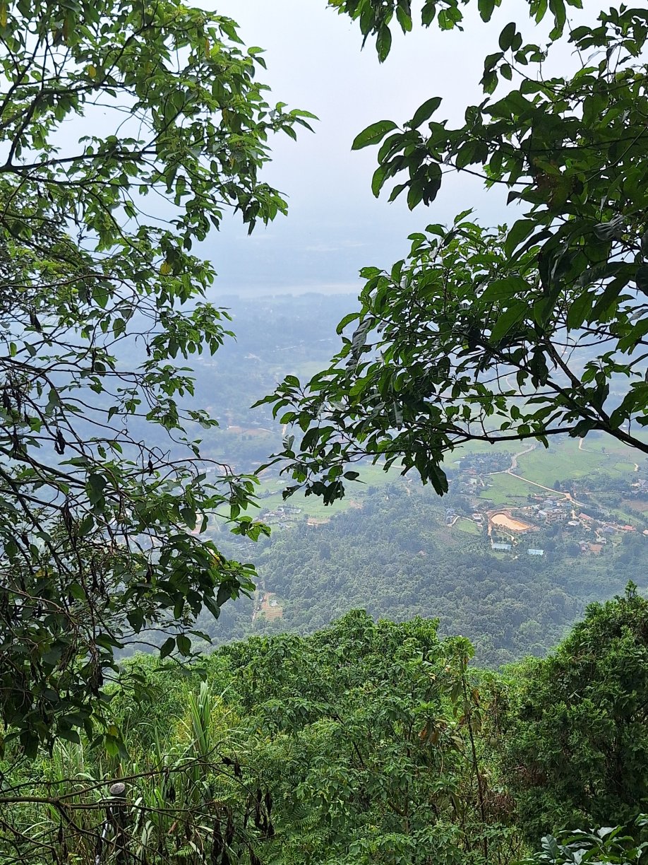 巴位山美利亚度假酒店-旅行者