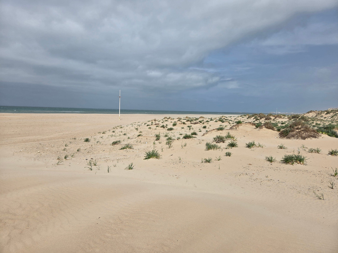 Playa De Camposoto-圣费尔南多必去景点