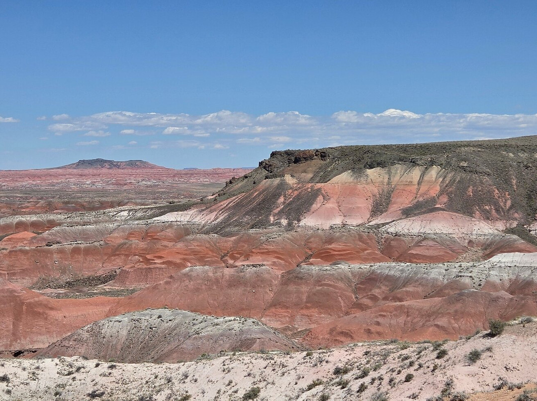 Painted Desert-石化林国家公园必去景点