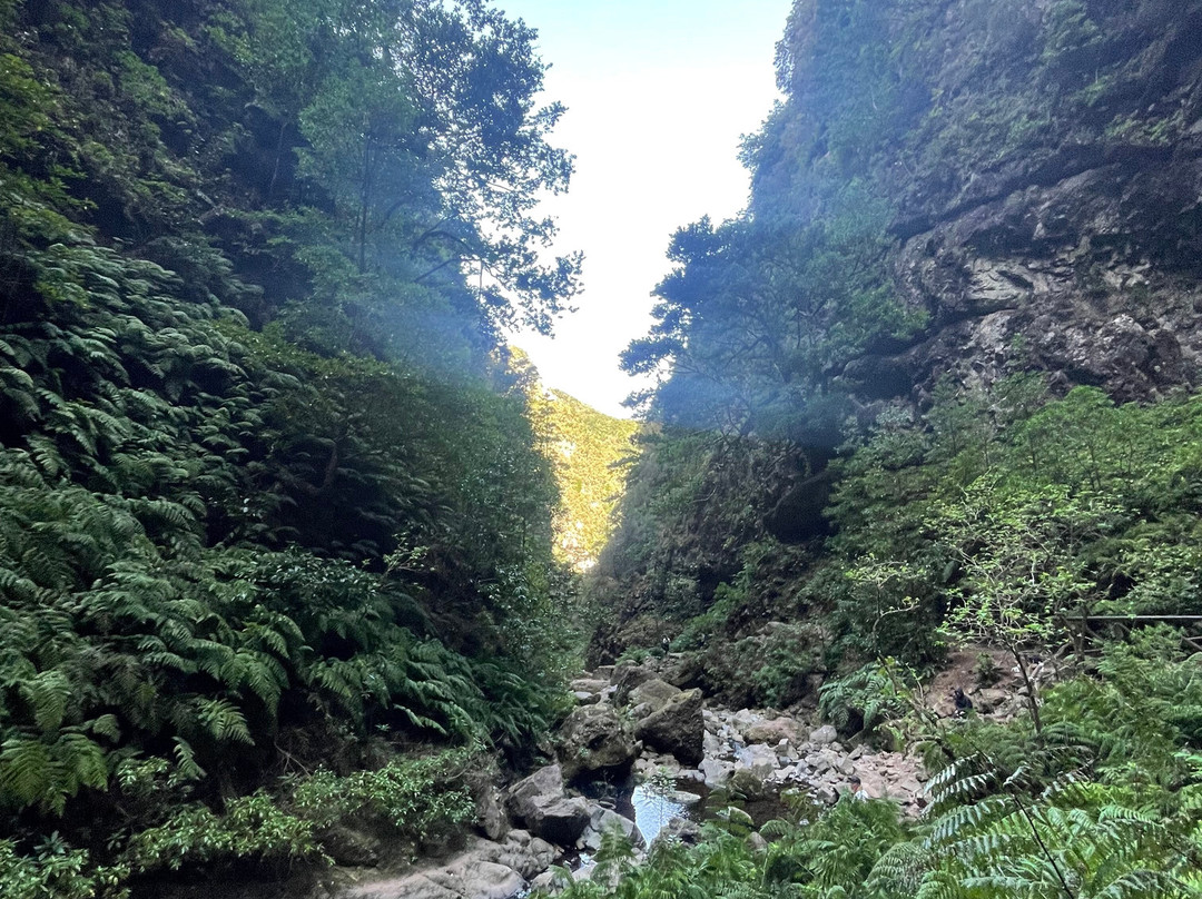 Levada Do Caldeirao Verde-Santana必去景点