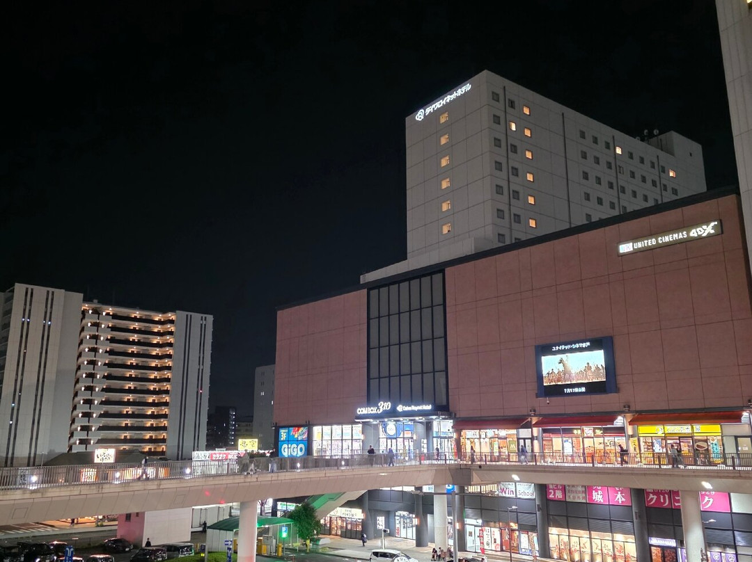 水户大和鲁内酒店主图