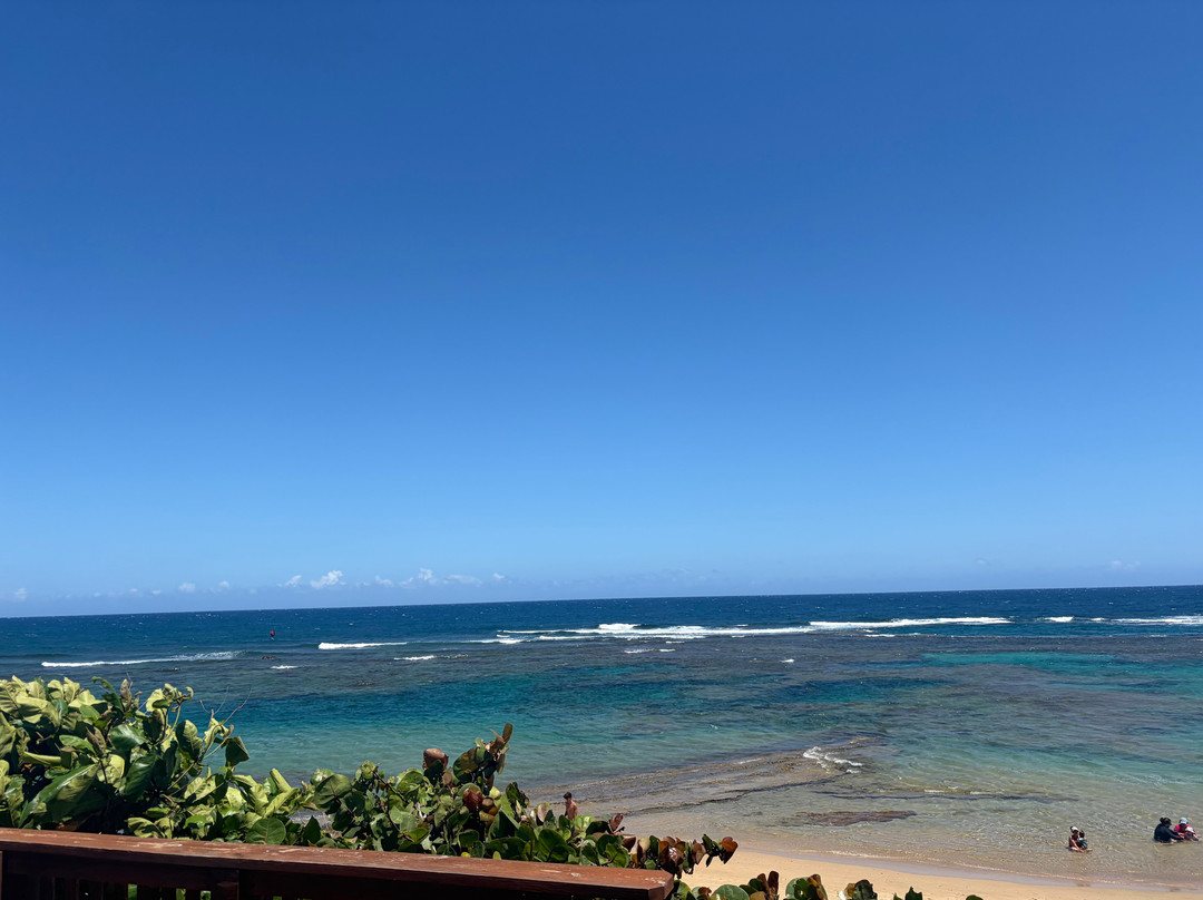 Villa Tropical Oceanfront Apartments on Shacks Beach主图