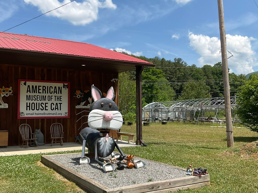 The American Museum of the House Cat-Sylva必去景点