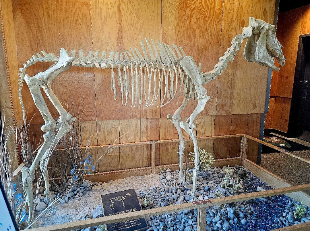 Hagerman Fossil Beds National Monument-Hagerman必去景点