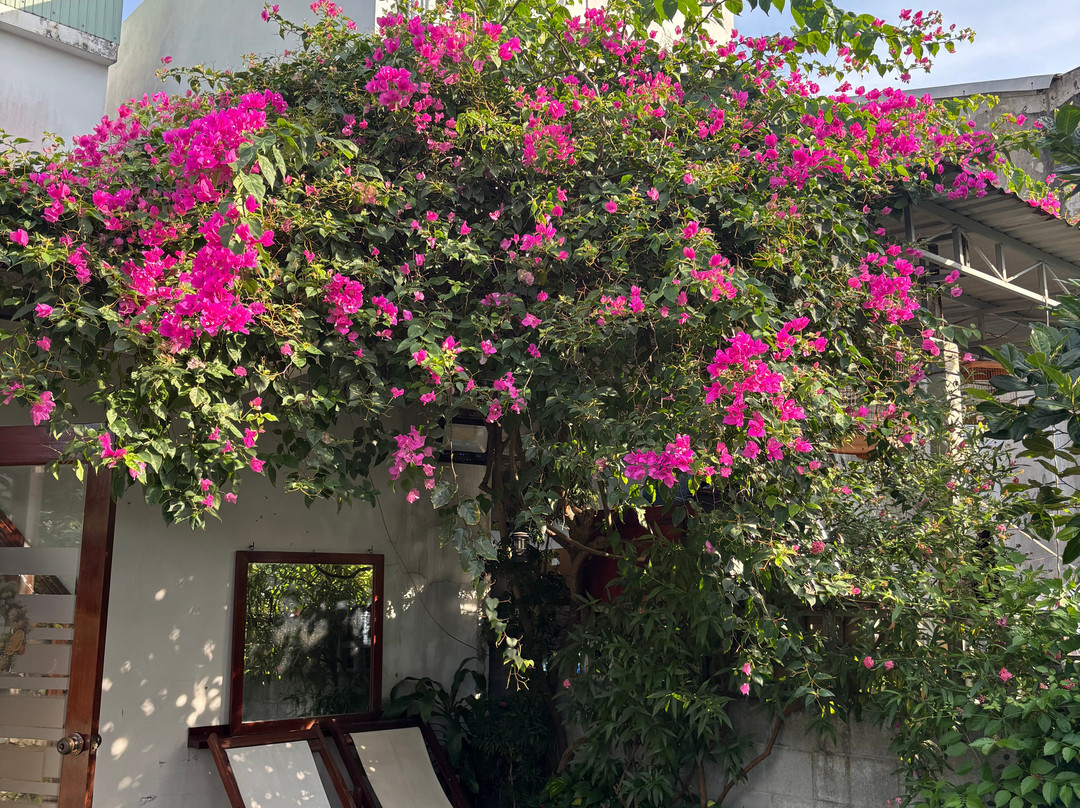 Pea Home - Nha Đau Homestay