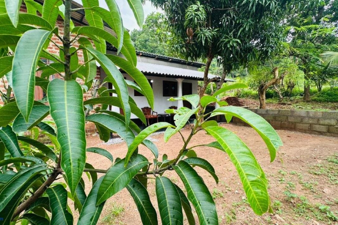 Golden Home Stay