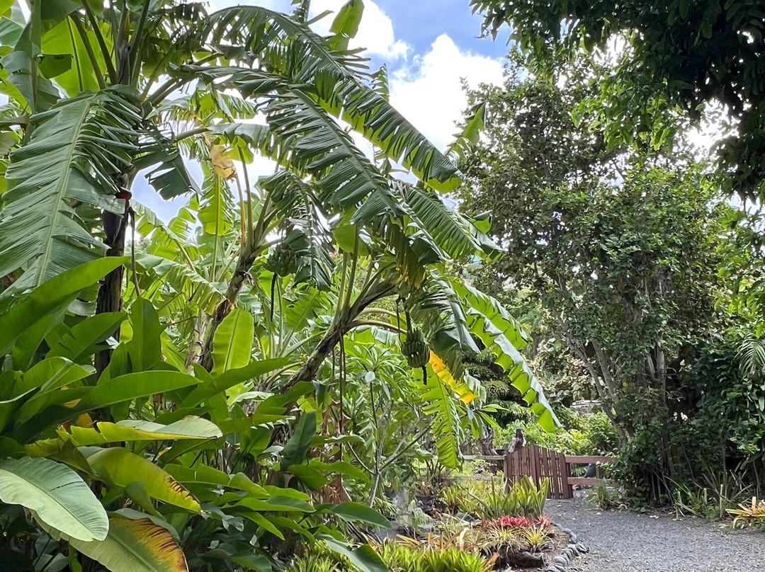 J.R. O'Neal Botanical Gardens-Road Town必去景点