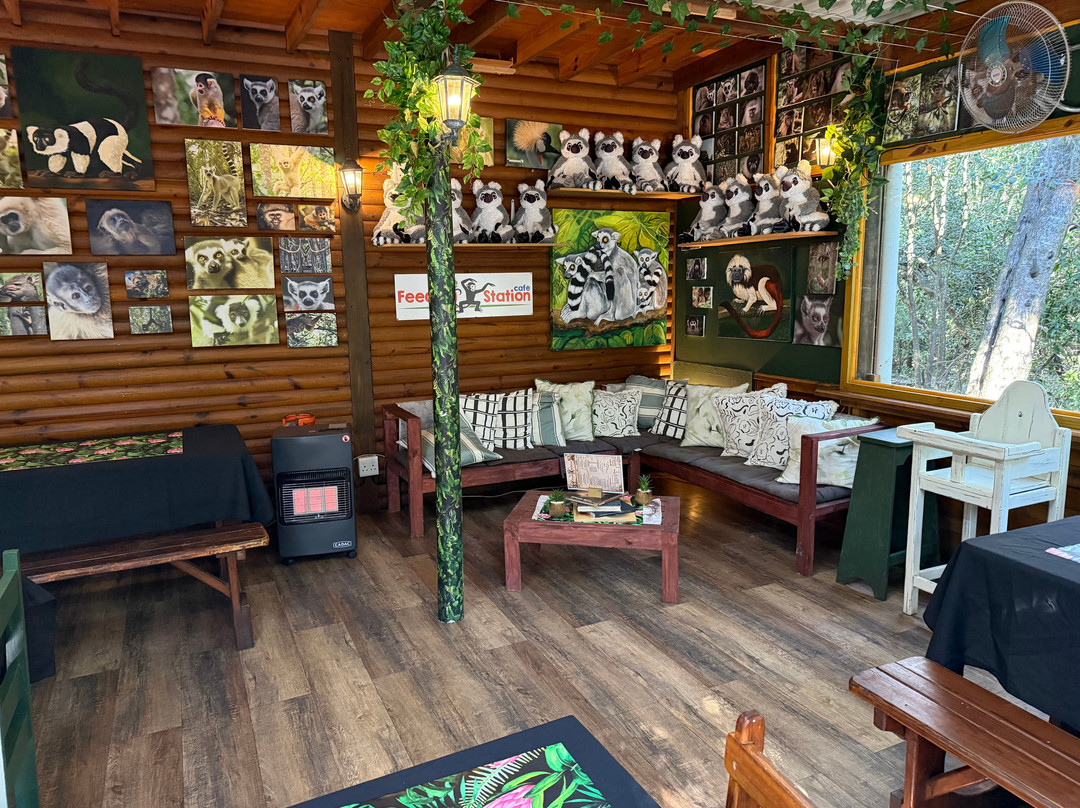 The Feeding Station Cafe, Plettenberg Bay