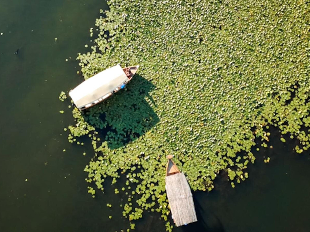 Spirit Of Montenegro / Skadar Lake Boat Tour-Vranjina必去景点