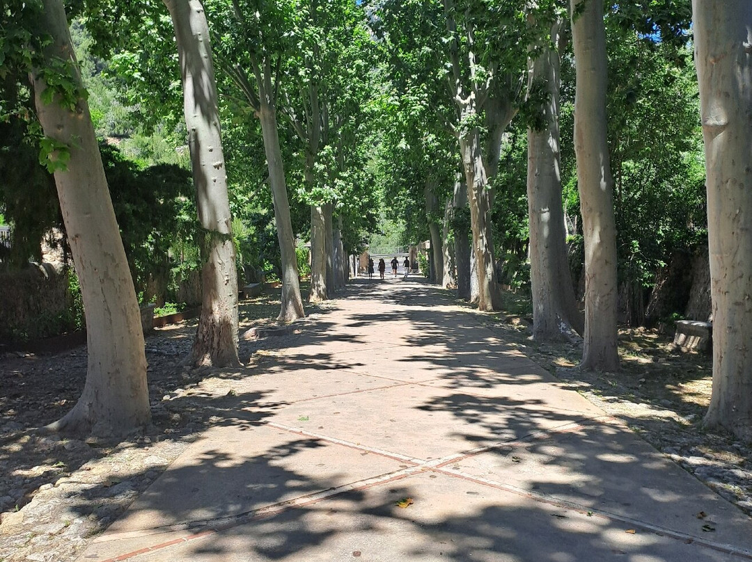 Jardines de Alfabia-Bunyola必去景点