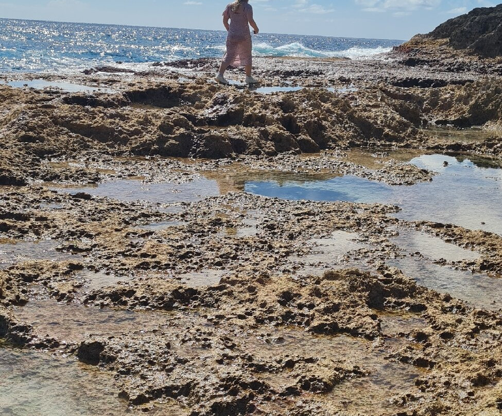 Hikutaveke Reef Pools-Hikutavake必去景点